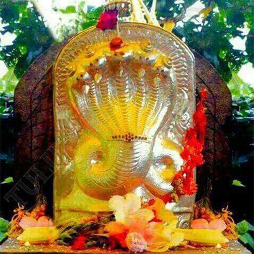 Sri Durga Devi Jyotishyam - Kalsarp