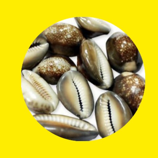 Sri Durga Devi Jyotishyam - Cowrie Astrology